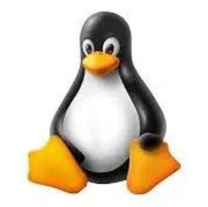 Meet your Posher, Damian